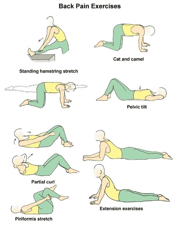 Back Pain Stretches 
