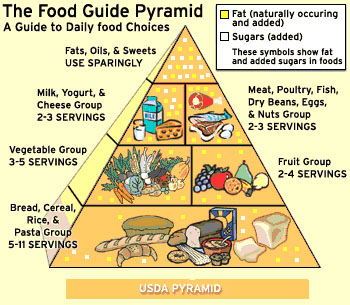 Health Corner: What is the Nutrition Pyramid?